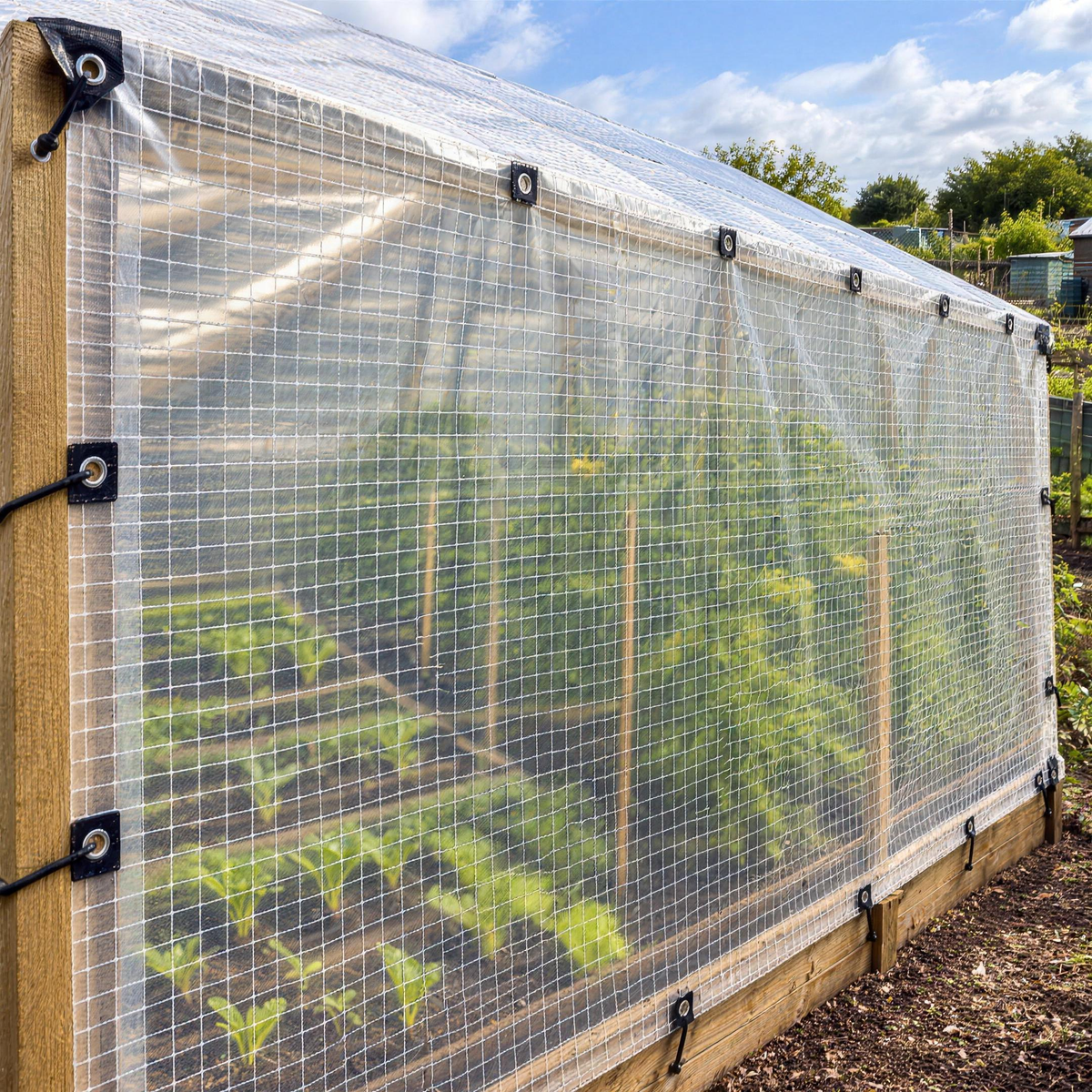 Clear 250gsm mono cover tarpaulin over an allotment growing frame, letting daylight through to the plants